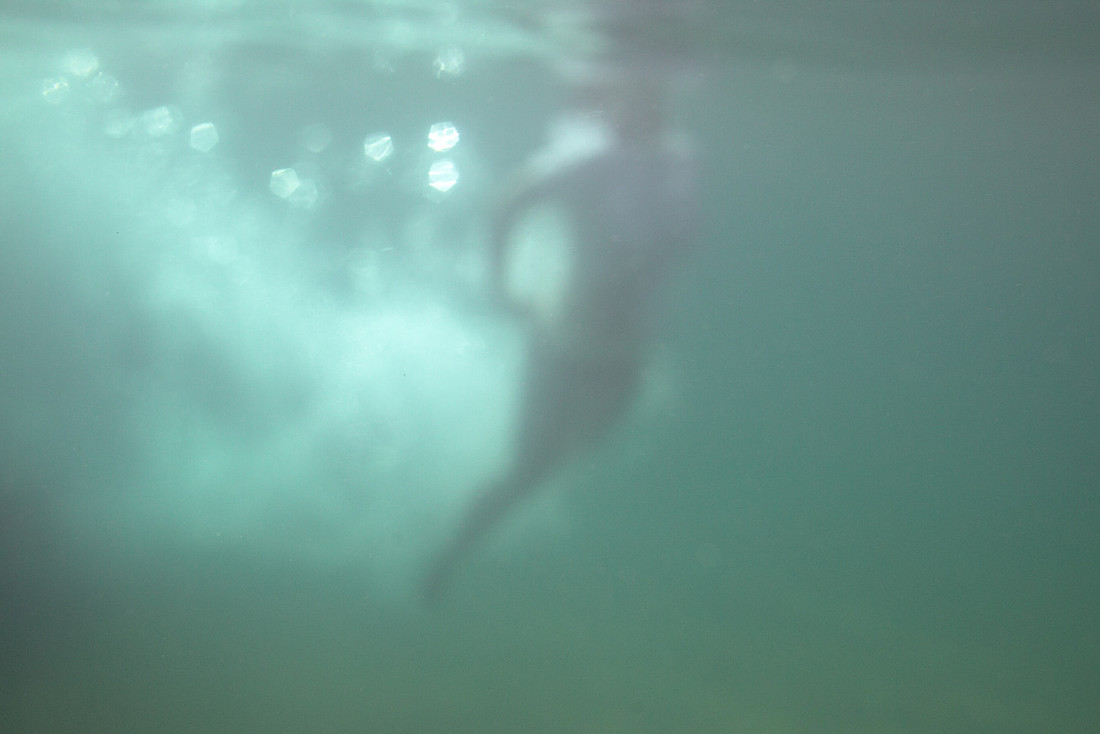 Summer in the lake
