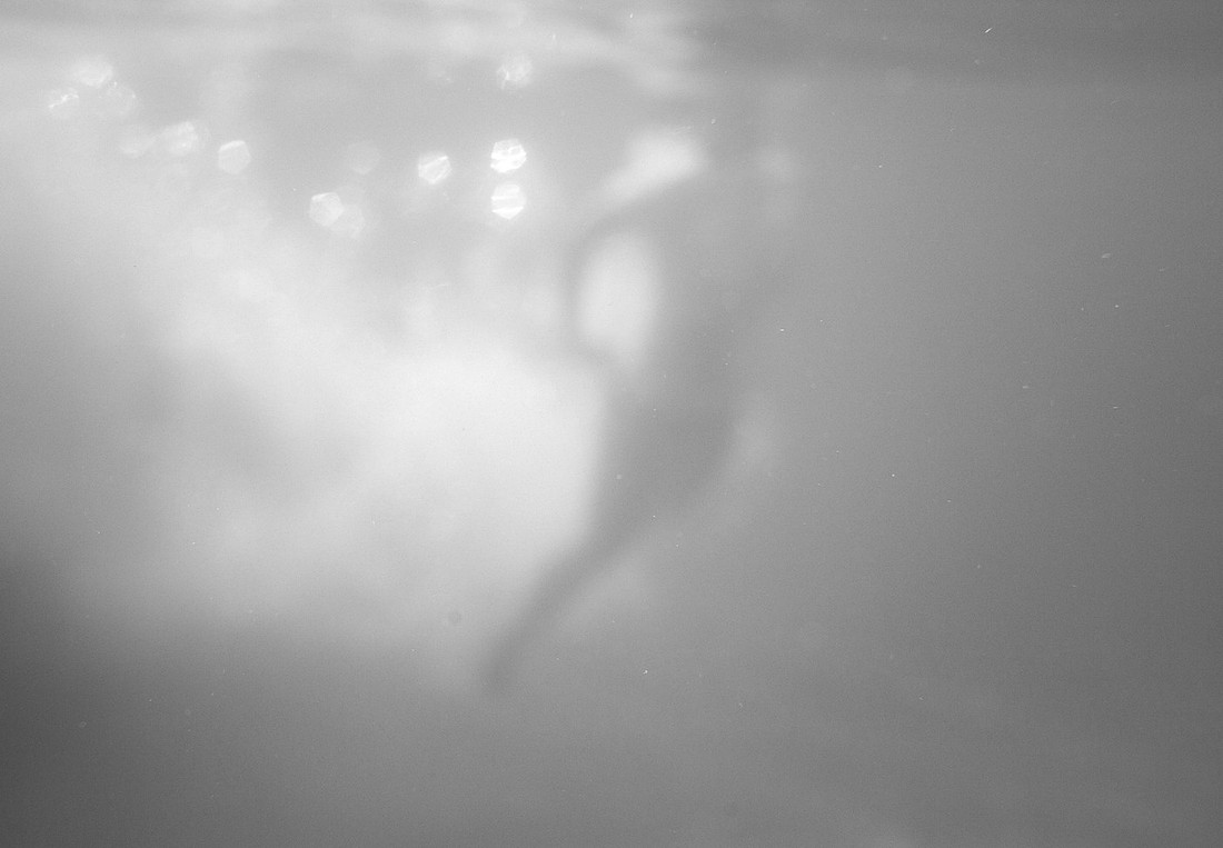_MG_4899